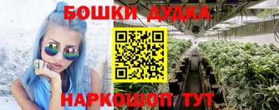 a pvp Кандалакша
