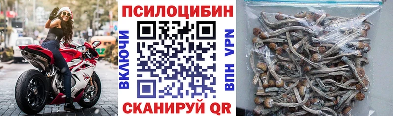Псилоцибиновые грибы Magic Shrooms  blacksprut как войти  Конаково 