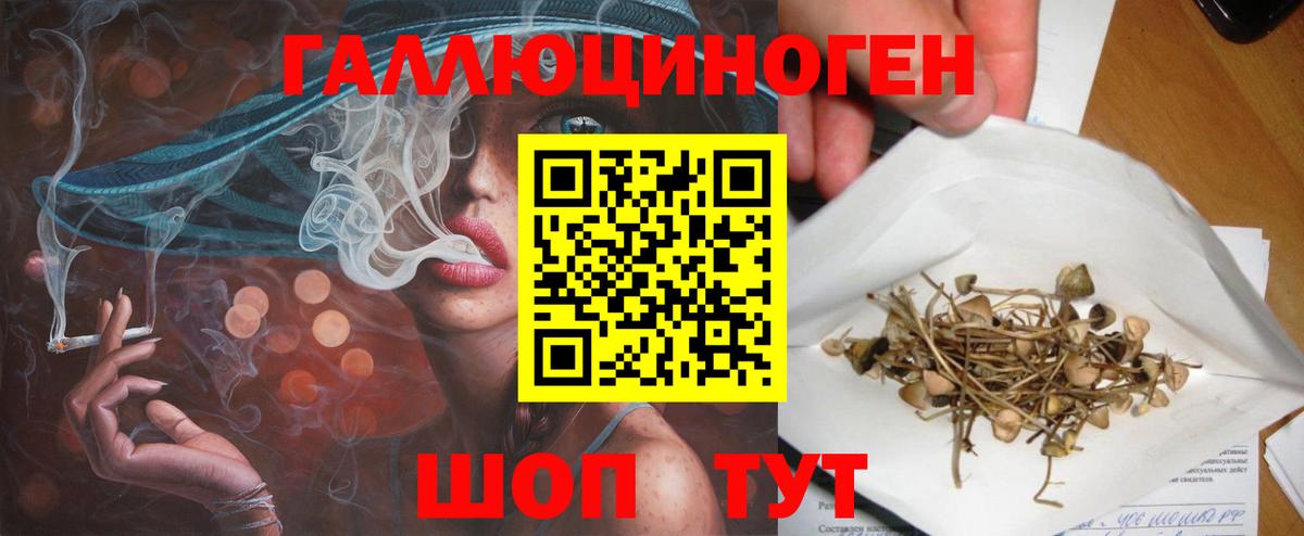 Конаково  что такое наркотик  Вход с VPN  Псилоцибиновые грибы прущие грибы  Псилоцибиновые грибы Psilocybine cubensis 